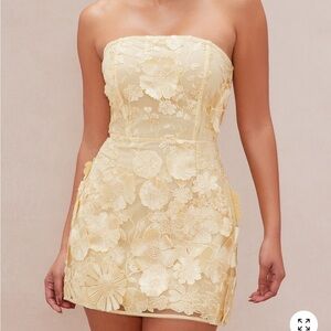 Fashion Nova Luxe Marcella Embroidered A-Line Mini Dress